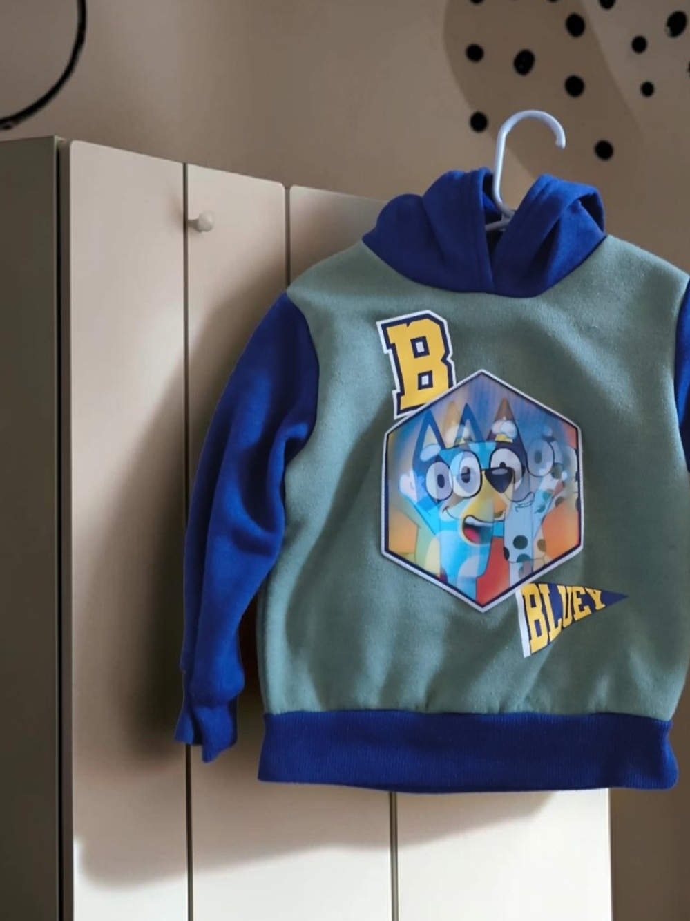 Kids Blue & Green Hooded Sweatshirt with Character Graphic